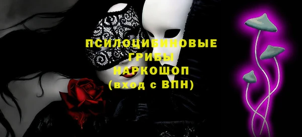 ПСИЛОЦИБИНОВЫЕ ГРИБЫ Зерноград