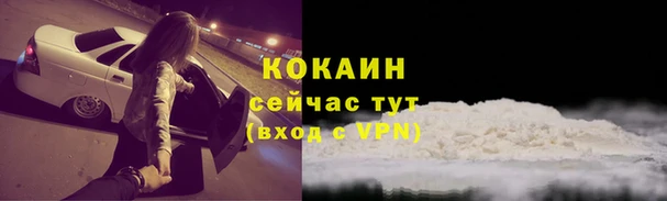 ПСИЛОЦИБИНОВЫЕ ГРИБЫ Зерноград