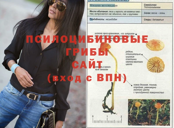 ПСИЛОЦИБИНОВЫЕ ГРИБЫ Зерноград
