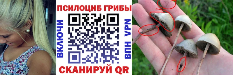 Купить закладки  Старый Крым  Псилоцибиновые грибы GOLDEN TEACHER 